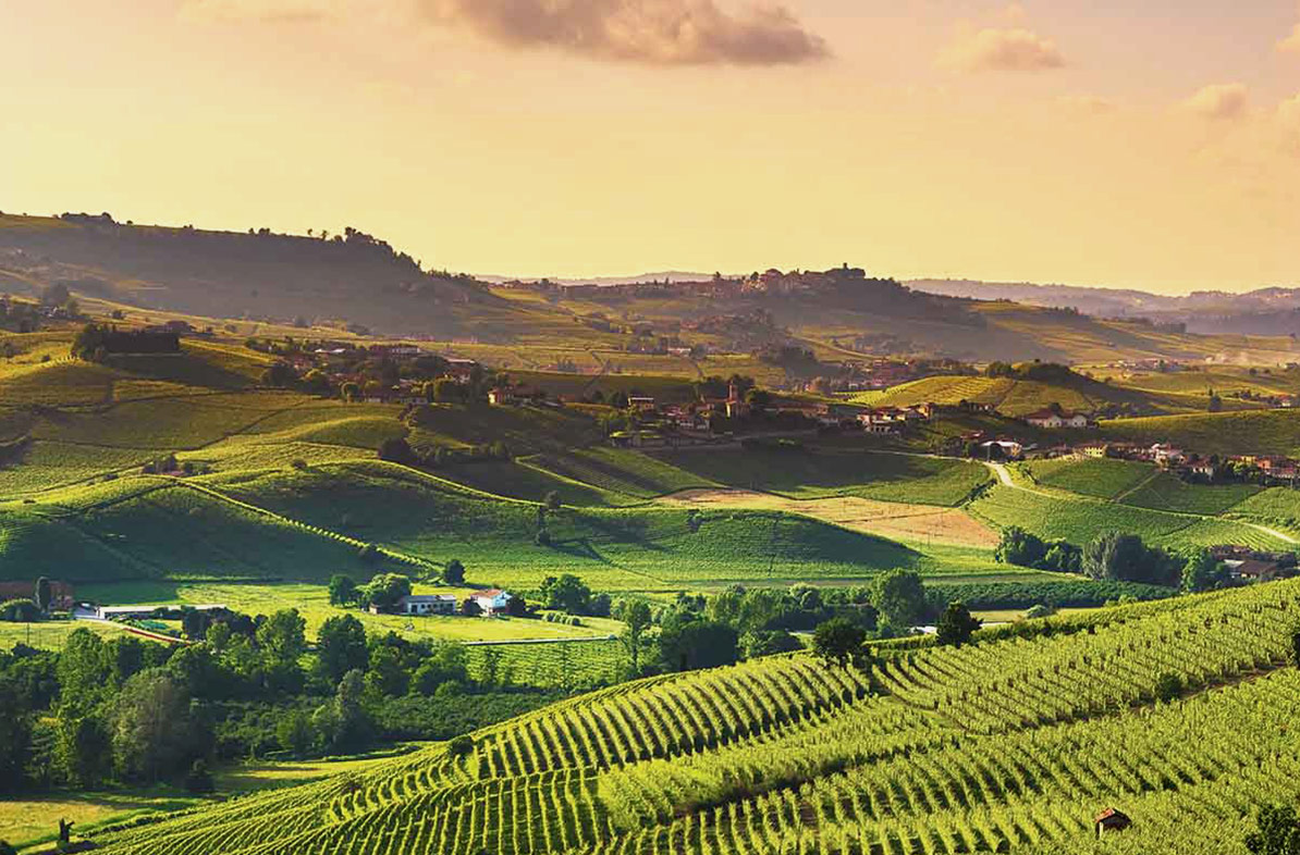 piemonte: nozze da favola... e non solo.