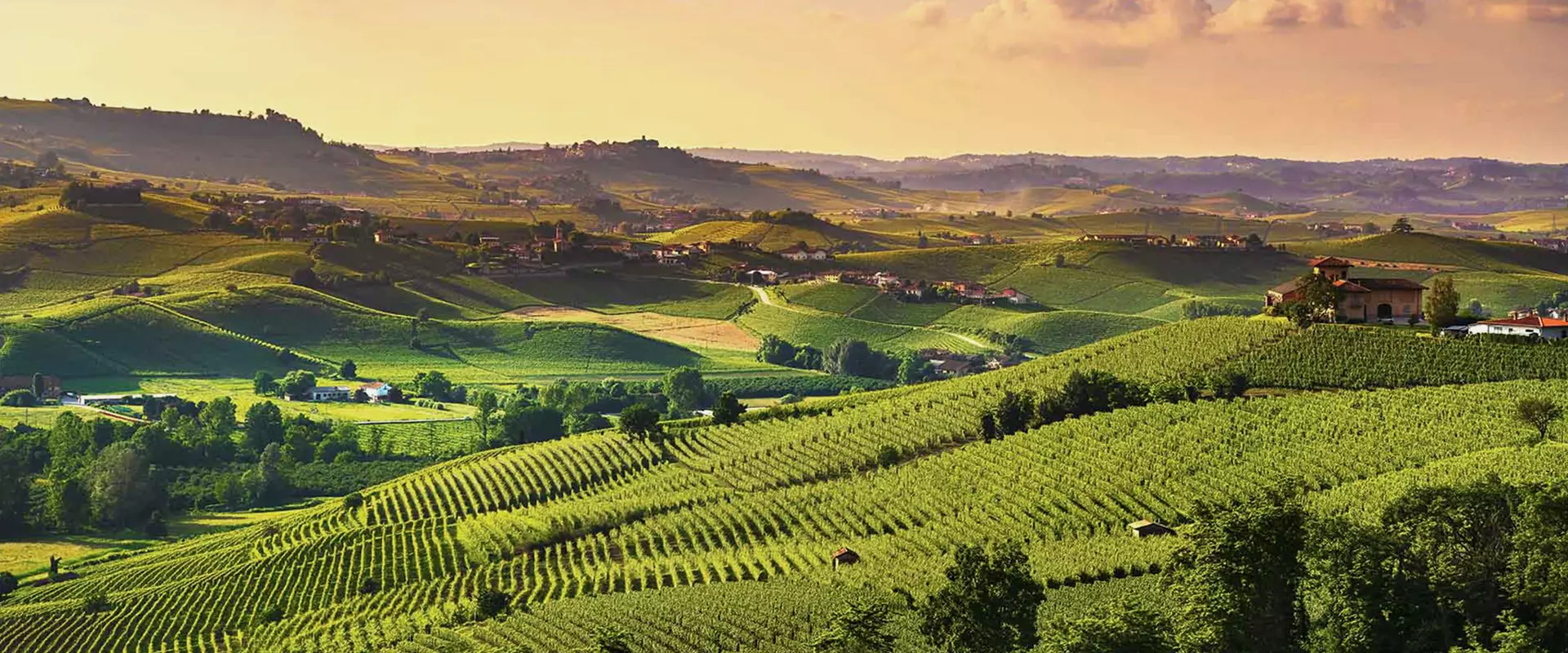 piemonte: nozze da favola... e non solo.