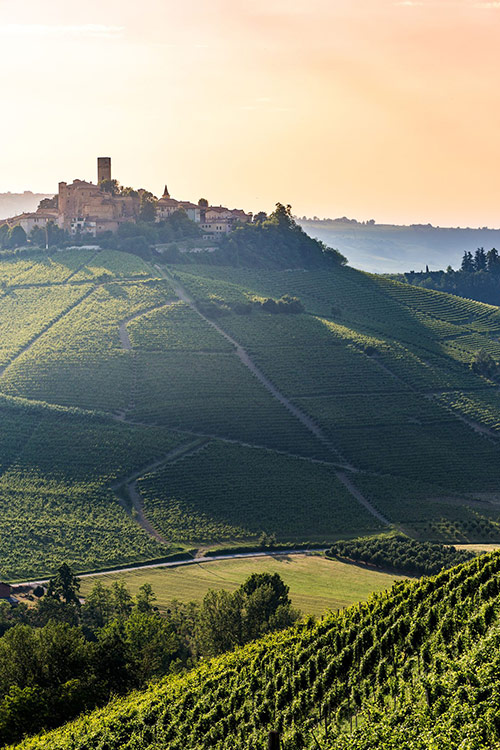Piemonte serralunga d'Alba Barolo